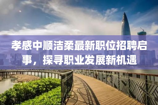 孝感中顺洁柔最新职位招聘启事，探寻职业发展新机遇