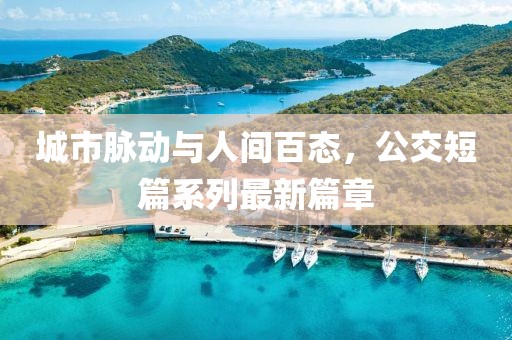 城市脉动与人间百态，公交短篇系列最新篇章