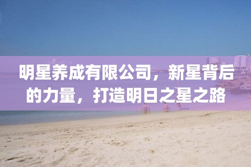 明星养成有限公司，新星背后的力量，打造明日之星之路