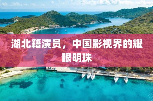 湖北籍演员，中国影视界的耀眼明珠