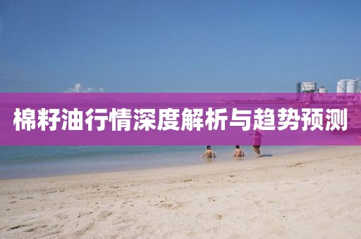 棉籽油行情深度解析与趋势预测