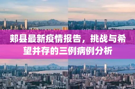 郏县最新疫情报告，挑战与希望并存的三例病例分析