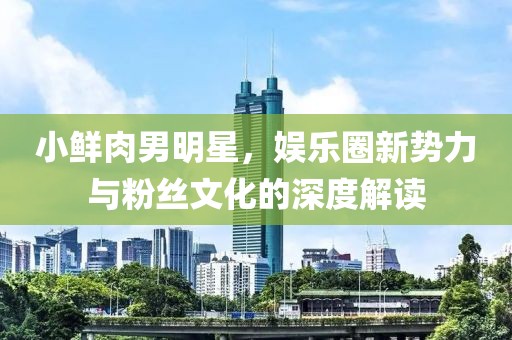 小鲜肉男明星，娱乐圈新势力与粉丝文化的深度解读