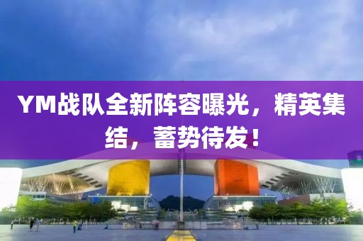YM战队全新阵容曝光，精英集结，蓄势待发！