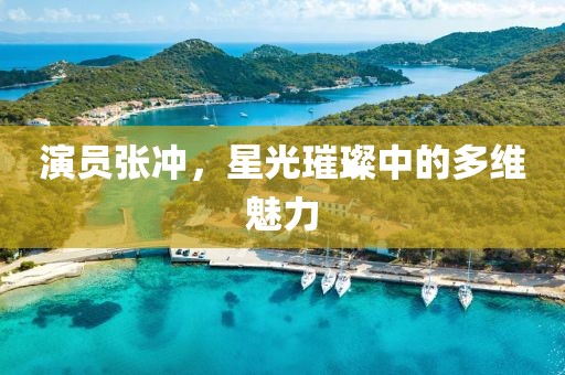 演员张冲，星光璀璨中的多维魅力