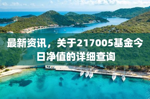 最新资讯，关于217005基金今日净值的详细查询