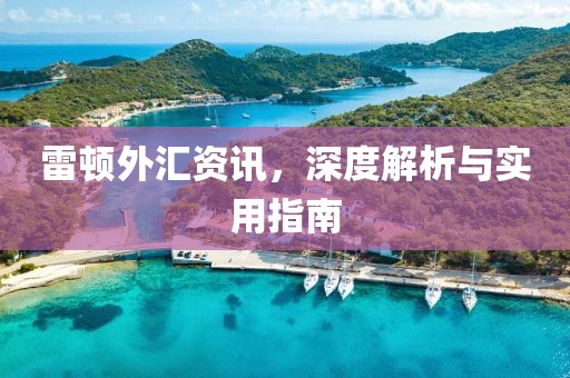 雷顿外汇资讯，深度解析与实用指南