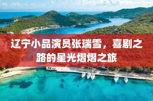 辽宁小品演员张瑞雪，喜剧之路的星光熠熠之旅
