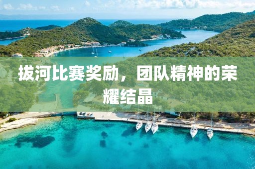 拔河比赛奖励，团队精神的荣耀结晶