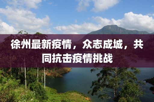 徐州最新疫情，众志成城，共同抗击疫情挑战