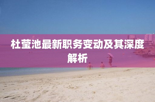 杜莹池最新职务变动及其深度解析