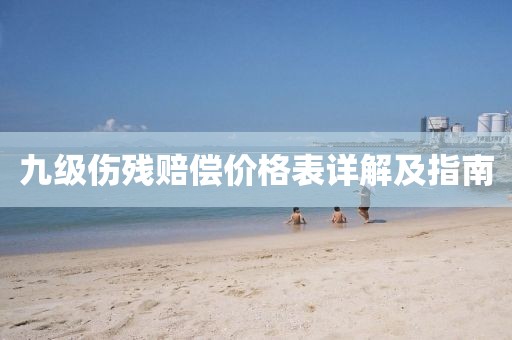 九级伤残赔偿价格表详解及指南