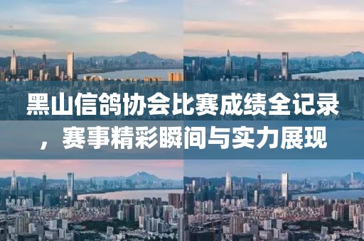 黑山信鸽协会比赛成绩全记录，赛事精彩瞬间与实力展现
