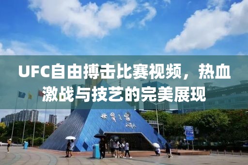 UFC自由搏击比赛视频，热血激战与技艺的完美展现