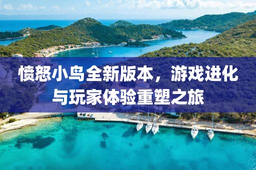 愤怒小鸟全新版本，游戏进化与玩家体验重塑之旅