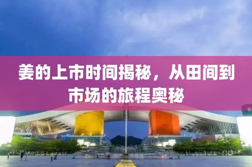 姜的上市时间揭秘，从田间到市场的旅程奥秘