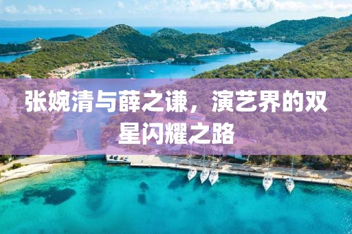 张婉清与薛之谦，演艺界的双星闪耀之路