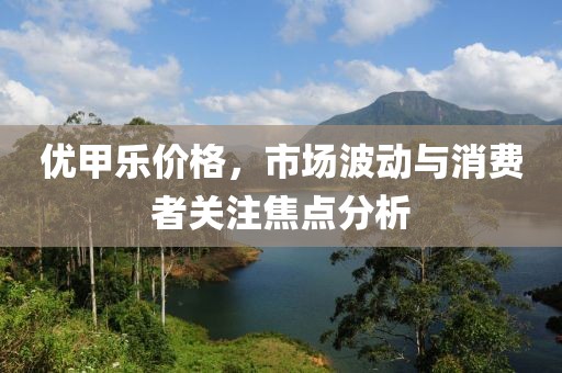 优甲乐价格，市场波动与消费者关注焦点分析
