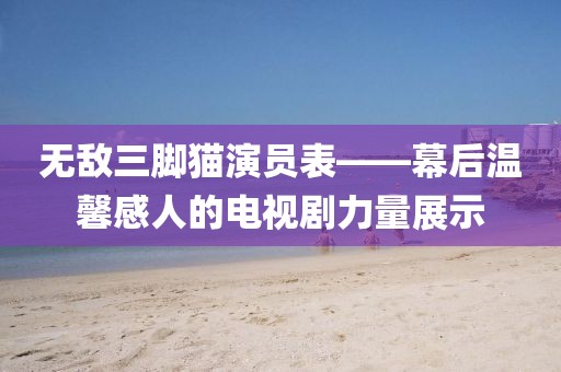 无敌三脚猫演员表——幕后温馨感人的电视剧力量展示