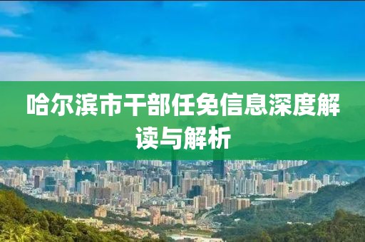 哈尔滨市干部任免信息深度解读与解析