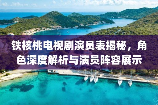 铁核桃电视剧演员表揭秘，角色深度解析与演员阵容展示