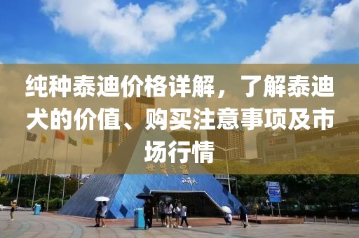 纯种泰迪价格详解，了解泰迪犬的价值、购买注意事项及市场行情