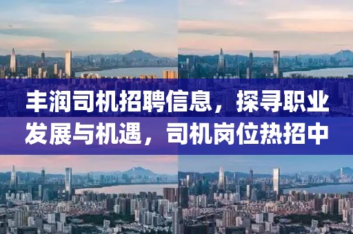 丰润司机招聘信息，探寻职业发展与机遇，司机岗位热招中