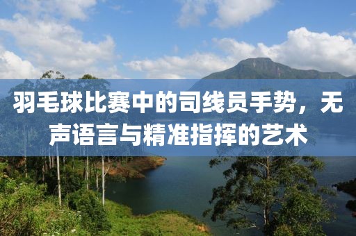 羽毛球比赛中的司线员手势，无声语言与精准指挥的艺术