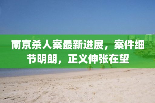 南京杀人案最新进展，案件细节明朗，正义伸张在望