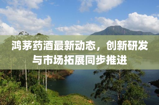 鸿茅药酒最新动态，创新研发与市场拓展同步推进