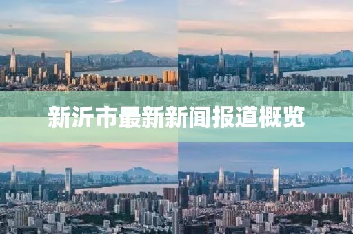 新沂市最新新闻报道概览