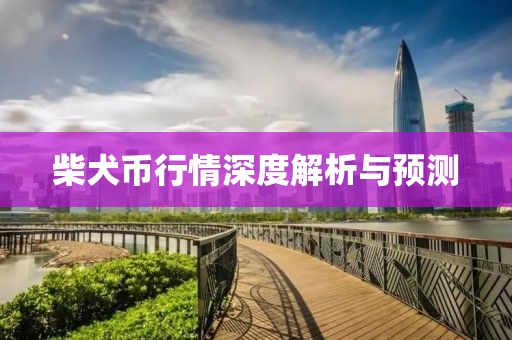 柴犬币行情深度解析与预测