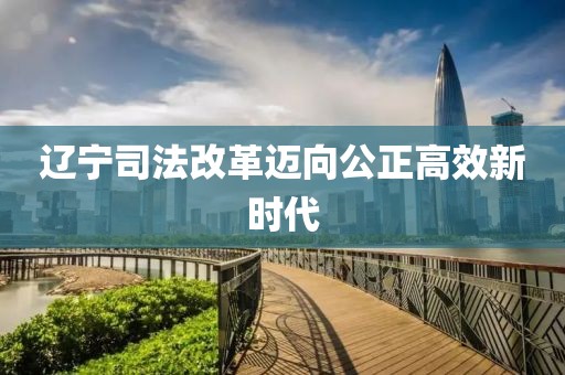 辽宁司法改革迈向公正高效新时代
