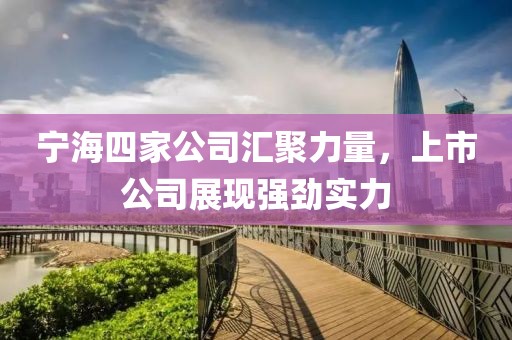 宁海四家公司汇聚力量，上市公司展现强劲实力