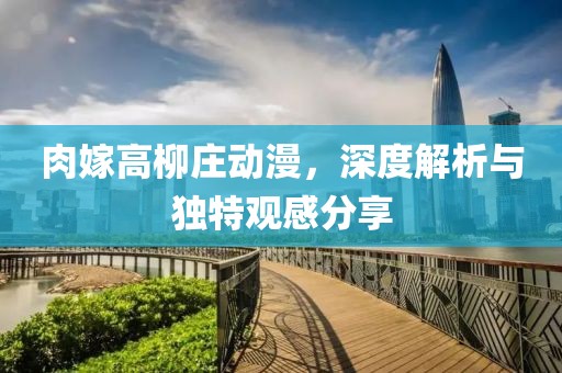肉嫁高柳庄动漫，深度解析与独特观感分享