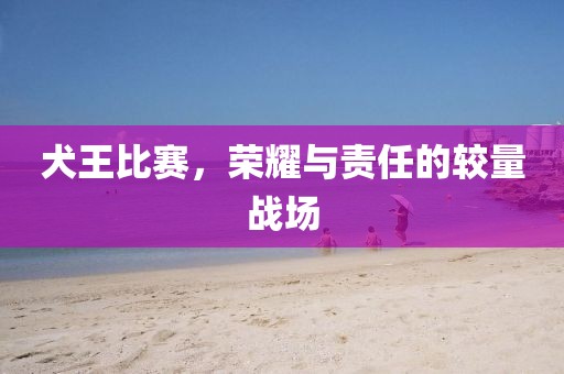 犬王比赛，荣耀与责任的较量战场