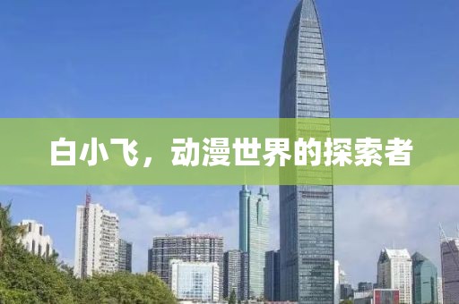 白小飞，动漫世界的探索者