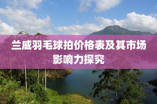 兰威羽毛球拍价格表及其市场影响力探究