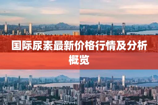 国际尿素最新价格行情及分析概览