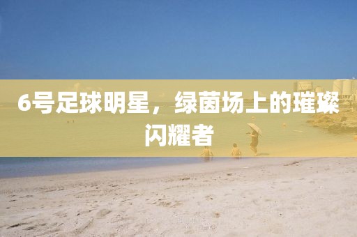 6号足球明星，绿茵场上的璀璨闪耀者