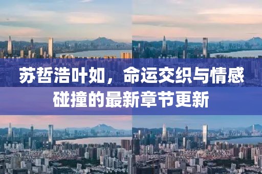 苏哲浩叶如，命运交织与情感碰撞的最新章节更新