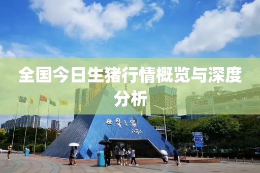 全国今日生猪行情概览与深度分析