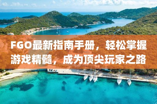 FGO最新指南手册，轻松掌握游戏精髓，成为顶尖玩家之路