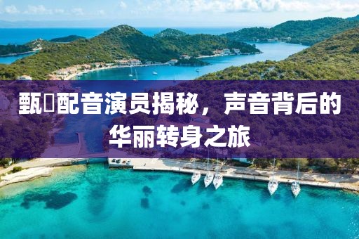 甄嬛配音演员揭秘，声音背后的华丽转身之旅