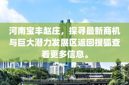 河南宝丰赵庄，探寻最新商机与巨大潜力发展区返回搜狐查看更多信息。