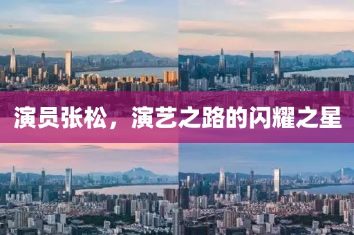 演员张松，演艺之路的闪耀之星