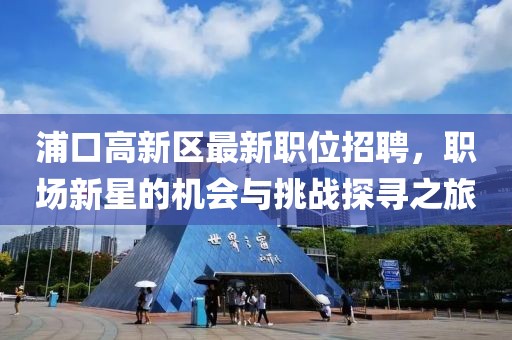 浦口高新区最新职位招聘，职场新星的机会与挑战探寻之旅