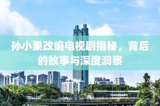 孙小果改编电视剧揭秘，背后的故事与深度洞察