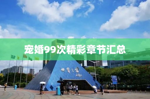 宠婚99次精彩章节汇总