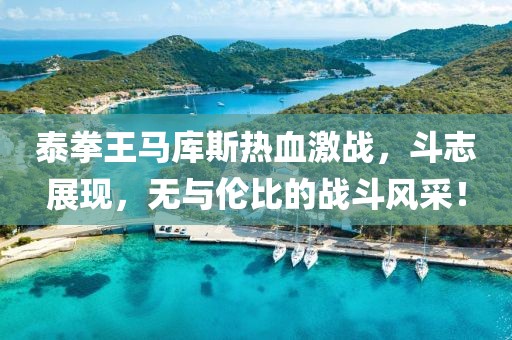 泰拳王马库斯热血激战，斗志展现，无与伦比的战斗风采！